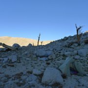 SouthernSierra 297 : SouthernSierra
